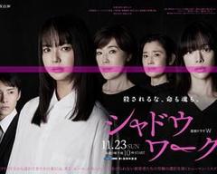 免费在线观看完整版日剧《影子工作》