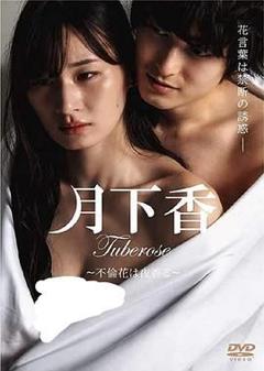 免费在线观看《月下香》