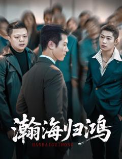 免费在线观看《瀚海归鸿》