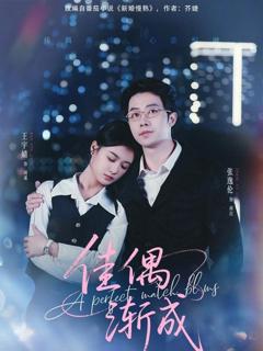 免费在线观看《佳偶渐成》