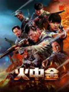 免费在线观看《火中金》