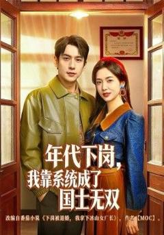 年代下岗，我靠系统成了国士无双