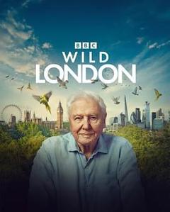 免费在线观看《狂野伦敦》