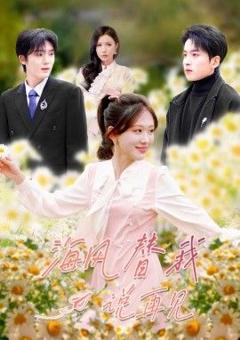 海风替我说再见