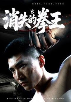 免费在线观看《消失的拳王》