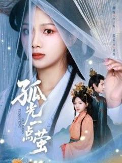 免费在线观看《孤光一点萤》