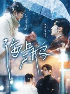 免费在线观看《海上天鹅》