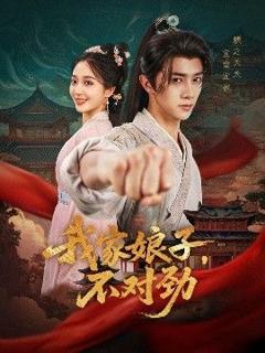 免费在线观看《我家娘子，不对劲》