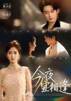 免费在线观看《今夜宜相逢》