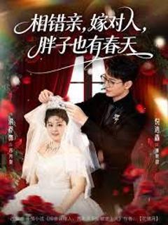 免费在线观看《相错亲嫁对人胖子也有春天》