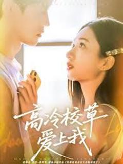 免费在线观看《高冷校草爱上我》