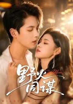 免费在线观看《野火同谋》