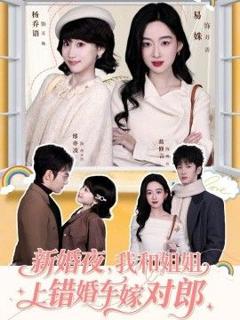 免费在线观看《新婚夜，我和姐姐上错婚车嫁对郎》