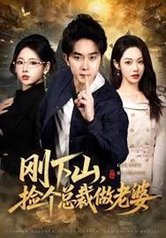 免费在线观看《刚下山捡个总裁做老婆》