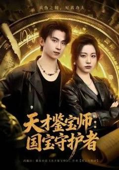 免费在线观看《天才鉴宝师：国宝守护者》