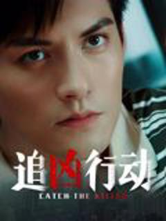 免费在线观看《追凶行动》