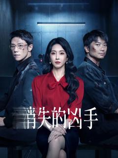 免费在线观看完整版大陆剧《消失的凶手》