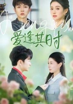 免费在线观看《爱逢其时》
