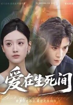 免费在线观看《爱在生死间》