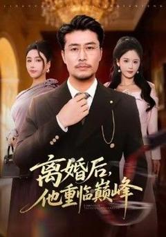 免费在线观看《离婚后，他重临巅峰》