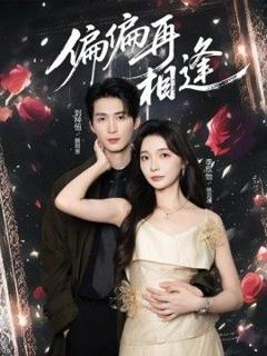 免费在线观看《偏偏再相逢》
