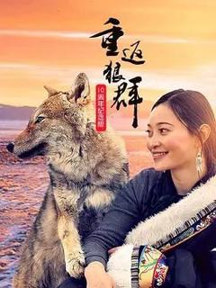免费在线观看《重返狼群10周年纪念版》