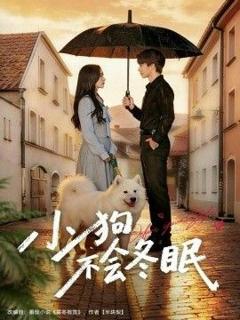 免费在线观看《小狗不会冬眠》