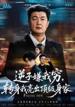 免费在线观看《逆子嫌我穷，转身我亮出顶级身家》