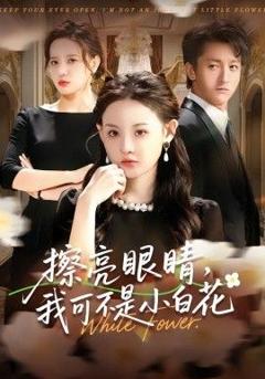 免费在线观看《擦亮眼睛，我可不是小白花》