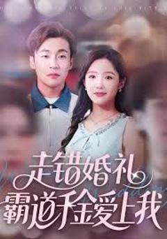 免费在线观看《走错婚礼霸道千金爱上我》