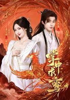 免费在线观看《掌中求鸾》