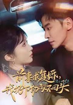 免费在线观看《前妻求复婚，我扔下协议不回头》