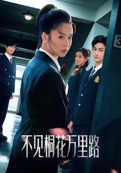 免费在线观看《不见桐花万里路》