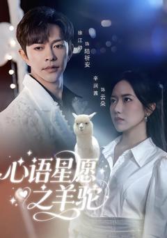 免费在线观看《心语星愿之羊驼》