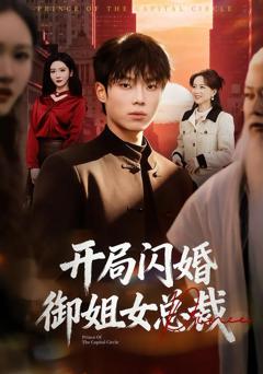 免费在线观看《开局闪婚御姐女总裁》