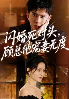 闪婚死对头，顾总他宠妻无度