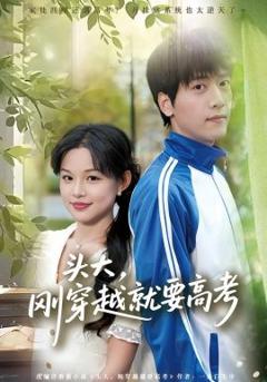 免费在线观看《头大，刚穿越就要高考》