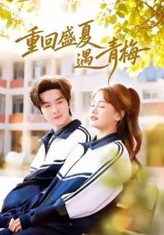 免费在线观看《重回盛夏遇青梅》