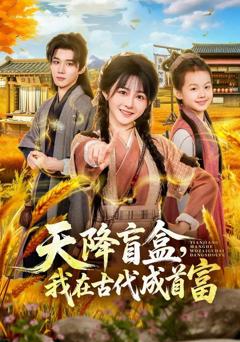 免费在线观看《天降盲盒，我在古代成首富》