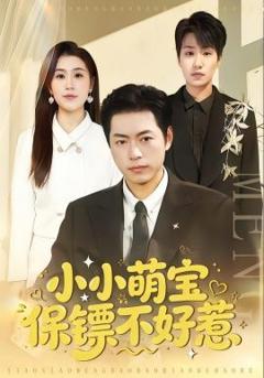 免费在线观看《小小萌宝保镖不好惹》