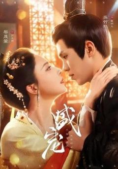 免费在线观看《盛宠》