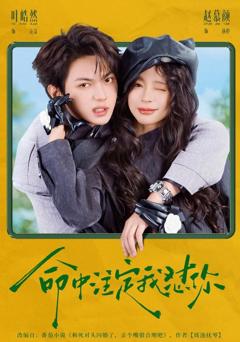 免费在线观看《命中注定我怼你》