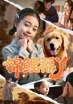 免费在线观看《锦鲤福丫》