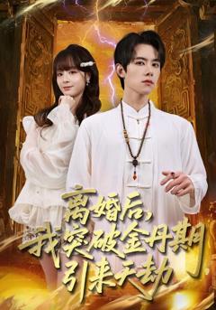 免费在线观看《离婚后，我突破金丹期，引来天劫》