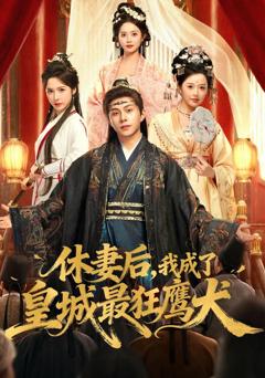 免费在线观看《休妻后，我成了皇城最狂鹰犬》