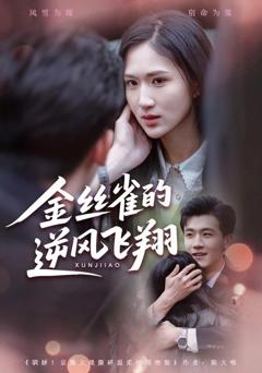 免费在线观看《金丝雀的逆风飞翔》