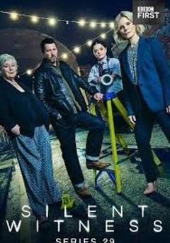 免费在线观看完整版欧美剧《无声的证言第二十九季》