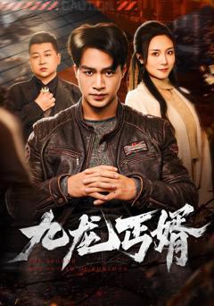 免费在线观看《九龙丐婿》