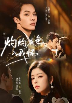 免费在线观看《灼灼夜色入我怀》