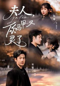 免费在线观看《夫人你马甲又灵了》